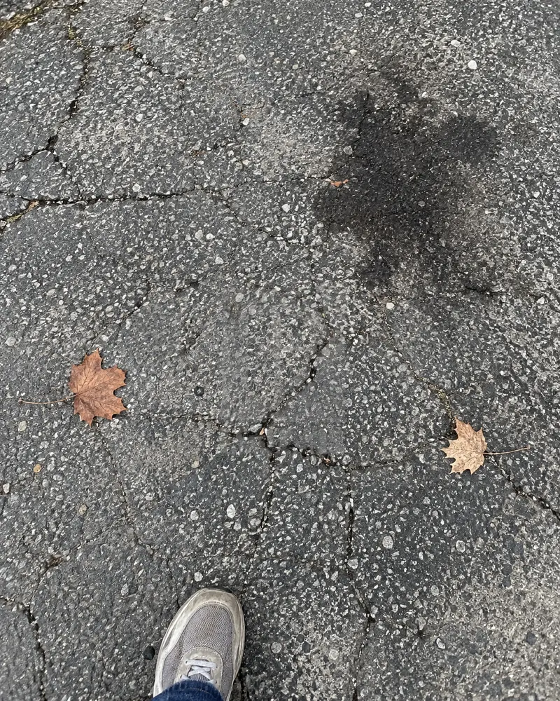 Asphalte gris et poreux, taches d’huile